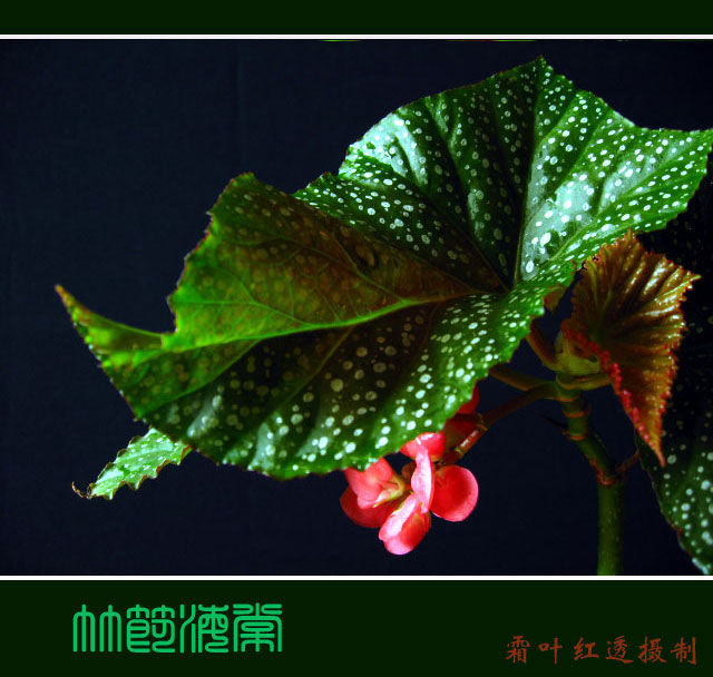 (bio) }:λ:Ļλr(nng)彨O(sh)
 ߣλ
 :2007-06-26 14:48:29
c(din) :856