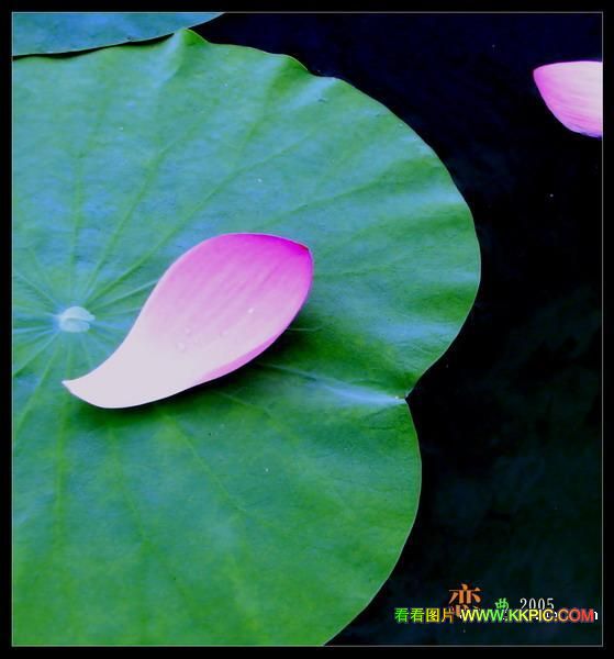 (bio) }:  Їl(xing)оΡЇӡ(chung)D(zhun)
 ߣ
 :2010-09-08 00:22:35
c :2616