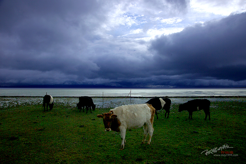 (bio) }:𣺸RģʽЇ(gu)(sh)`30꣨
 ߣ
 :2023-11-22 22:31:48
c(din) :2976