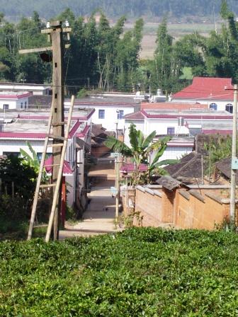 (bio) }:Ї(gu)r(nng)I(y)ȸ
 ߣK
 :2008-07-14 17:25:19
c(din) :1309