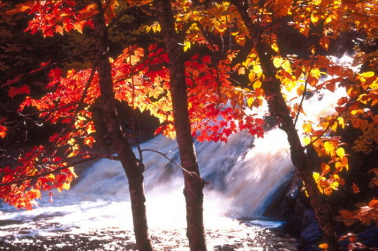 (bio) }:SЇl(xing)о6݋Ŀ
 ߣS
 :2009-01-22 14:48:57
c(din) :2621