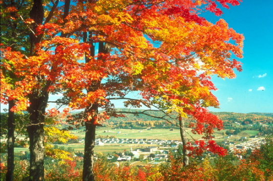 (bio) }:r(nng)ƶȸĸĽ(jng)(j)߉݋Ͳݸ(jng)(yn)
 ߣڿ
 :2009-02-21 14:17:02
c(din) :1059