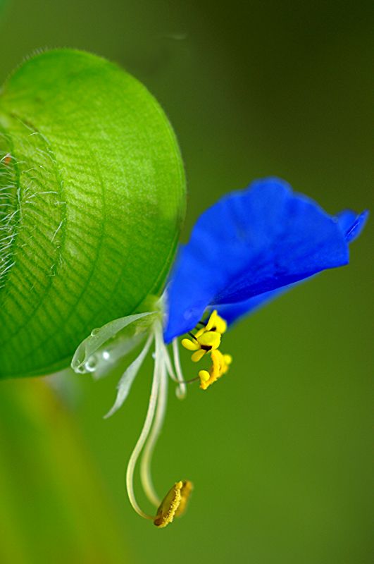 (bio) }:OAԇՓ(gu)ںʡr(nng)(qun)O(sh)
 ߣOA
 :2009-06-23 12:03:03
c(din) :6219