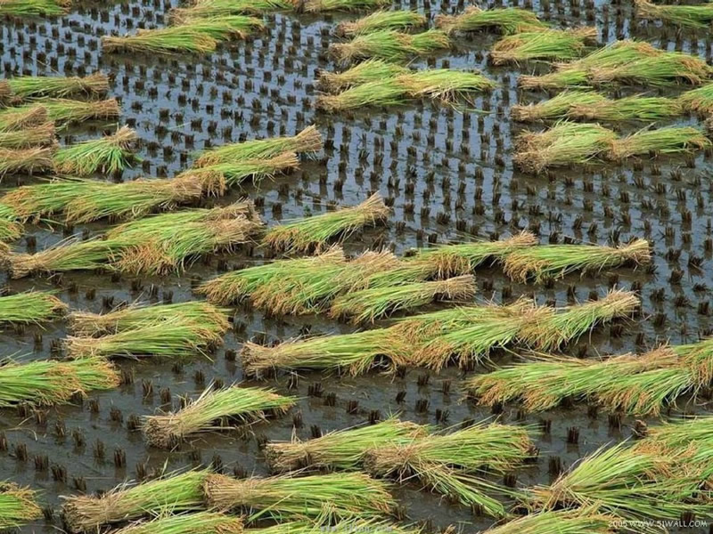 (bio) }:ꐰط壺D(zhun)(du)r(nng)AӷֻӰ
 ߣꐰط
 :2009-09-23 23:28:20
c(din) :3813