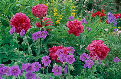 (bio) }:SǣӌW(xu)(x)ʹՓ
 ߣS
 :2023-12-07 07:37:47
c(din) :2381