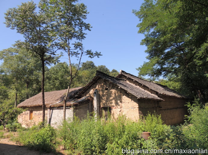 (bio) }: | 20o(j)ĩݡR¼T¼Ⱥw¼n Ї(gu)l(xing)(bo)桷(ji)x
 ߣ
 :2025-04-29 01:25:15
c(din) :8068