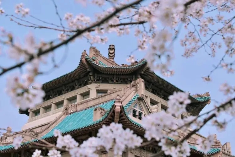 (bio) }:OADcr(nng)HP(gun)ϵ׃
 ߣOA
 :2023-03-04 11:34:24
c :20936